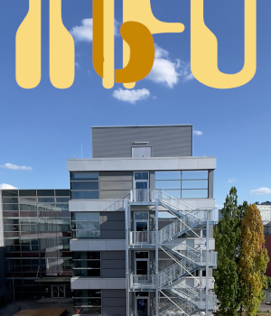 NGF info NGF info