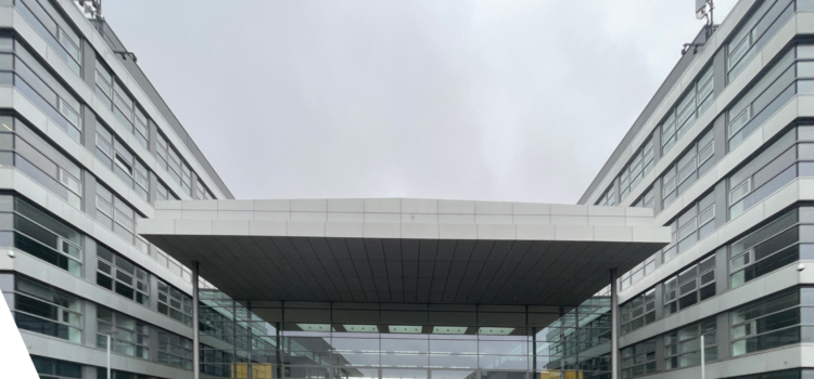 Ein neuer Name für das Neue Gymnasium Frankfurt